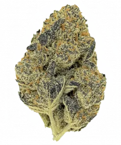 LA Kush Cake Automatic, vanilya aroması ve THC içeriğiyle öne çıkan Indica ağırlıklı bir türdür. Depresyon ve stresi azaltmaya yardımcı olabilir. Özelliklerini keşfedin.