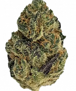 LA Pop Rocks, ekşi elma aroması ve yüksek THC içeriğiyle bilinen Indica dominant bir türdür. Z Animal ve Triangle Kush genetiğini keşfedin ve detayları görüntüleyin.