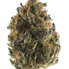 LA Sugar, tatlı vanilya aroması ve rahatlatıcı etkileriyle öne çıkan indica dominant bir türdür. Ağrı ve stres için ideal. Genetik yapısını keşfedin.