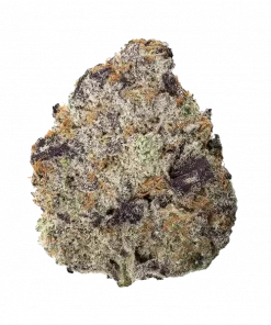 Lady Zaza, yakıtımsı notaları ve THC oranıyla öne çıkan dengeli bir hibrit türüdür. Şekerli aromasını keşfedin ve etkilerini görüntüleyin.