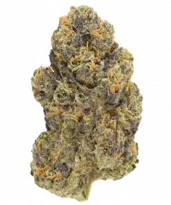 Lamar Odom, şekerli aroması ve dengeli etkileriyle öne çıkan hibrit bir türdür. Guava Cake x Lemon Cherry Zkittlez genetiğini keşfedin ve özelliklerini görüntüleyin.