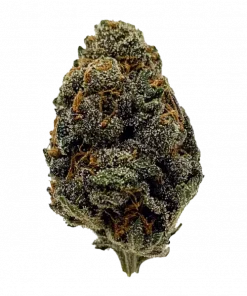 Ridgeline Lantz, yakıtımsı ve küflü mavi peynir aromalı, yüksek THC'li bir hibrit türdür. Yaratıcılığı tetikleyen etkileriyle öne çıkar. Özelliklerini keşfedin.