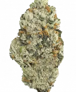 Lazer Gun, vanilya ve benzin aromalı, yüksek THC'li dengeli bir hybrid türdür. Stres ve kaygı için ideal. Genetik yapısını keşfedin ve hemen görüntüleyin.