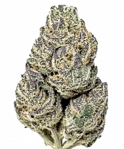 Laughing Buddha, yüksek THC'li, narenciye aromalı Sativa baskın bir türdür. Enerjik etkileri ve karmaşık lezzetiyle öne çıkar. Özelliklerini keşfedin.