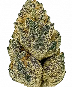 Laffy Taffy, benzersiz baharatlı ve meyveli aromasıyla öne çıkan Indica baskın bir türdür. Enerji veren ve rahatlatan etkilerini keşfedin. Hemen görüntüleyin.