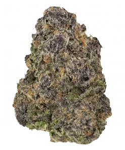 Laundry Shaman, ananas aromalı ve yüksek THC'li indica baskın bir türdür. Dengeli etkisiyle öne çıkar. Bu eşsiz türü keşfedin ve faydalarını görüntüleyin.