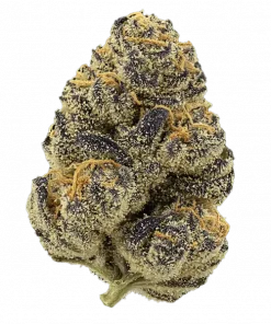 Lavenade, yakıtımsı ve meyvemsi aromalarıyla bilinen, yüksek THC'li Indica dominant bir türdür. Spazmlara ve iştahsızlığa iyi gelir. Özelliklerini keşfedin.