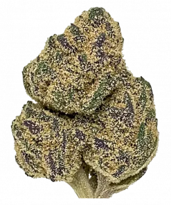 Lavender Jones, tatlı lavanta aroması ve dengeli etkisiyle öne çıkan Sativa baskın bir türdür. Orta seviyedeki THC içeriğiyle keyifli deneyimi keşfedin.