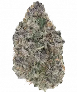 Lazeralus, yakıtımsı aroması ve rahatlatıcı etkisiyle öne çıkan Indica dominant bir türdür. Depresyon ve stres için ideal. Genetik yapısını keşfedin.