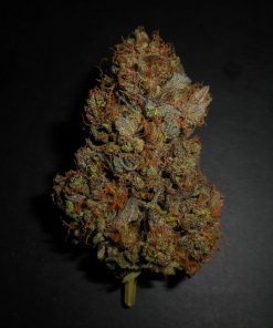 Lemon AK Auto Fem Esrar Tohumu (Fast Buds)