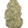 Lemon Alien Dawg, yakıtımsı ve narenciye aromalarıyla öne çıkan Indica dominant bir türdür. Dengeli etkileriyle dikkat çeker. Genetik yapısını keşfedin.
