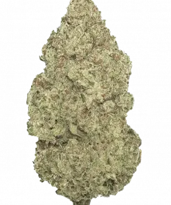 Lemon Alien Dawg, yakıtımsı ve narenciye aromalarıyla öne çıkan Indica dominant bir türdür. Dengeli etkileriyle dikkat çeker. Genetik yapısını keşfedin.