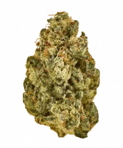 Lemon Banana Pie, muzlu ve turunçgil aromalarıyla öne çıkan Indica dominant bir türdür. Yüksek THC içeriğiyle yaratıcılığı keşfedin ve rahatlayın. Görüntüleyin.