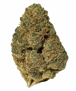 Lemon Bars, kimyasal limon aroması notaları ve yüksek THC içeriğiyle öne çıkan bir Sativa hibritidir. Benzersiz genetik yapısını ve etkilerini hemen keşfedin.