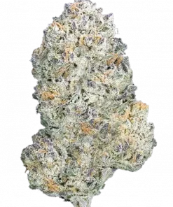 Lemon Berry Candy OG, kimyasal limon aroması ve meyvemsi notalarıyla öne çıkan bir hibrit türdür. Enerji veren yapısıyla eşsiz deneyimi keşfedin.