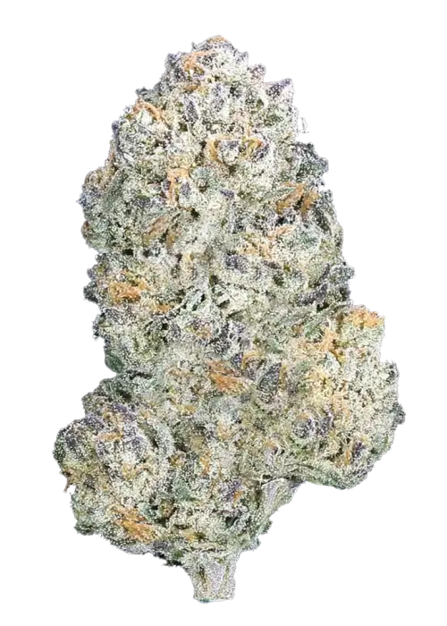 Lemon Berry Candy OG, kimyasal limon aroması ve meyvemsi notalarıyla öne çıkan bir hibrit türdür. Enerji veren yapısıyla eşsiz deneyimi keşfedin.