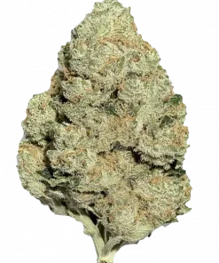 Limonlu Kek, kimyasal limon aroması ve yüksek THC içeriğiyle bilinen Sativa baskın bir türdür. Enerji verici etkilerini ve genetik yapısını keşfedin.