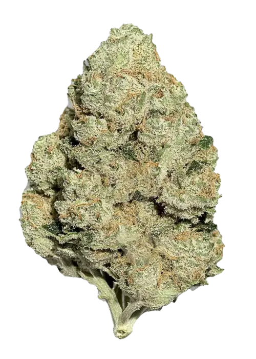 Limonlu Kek, kimyasal limon aroması ve yüksek THC içeriğiyle bilinen Sativa baskın bir türdür. Enerji verici etkilerini ve genetik yapısını keşfedin.