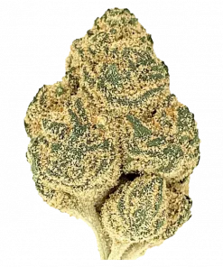 Lemon Cheesecake, keskin narenciye aroması ve yüksek THC içeriğiyle öne çıkan sativa baskın bir türdür. Benzersiz lezzet profilini ve etkilerini keşfedin.