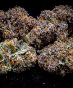 Lemon Cherry Cookies ™ Auto Fem Esrar Tohumu (Fast Buds)