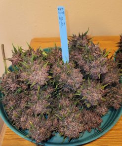 Lemon Cherry Cookies ™ Auto Fem Esrar Tohumu (Fast Buds)