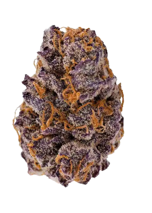 Lemon Cherry Cookies Auto, benzersiz orman meyvesi ve limon aromaları ile yüksek THC'li bir Indica türüdür. Hızlı çiçeklenme özelliğiyle bu özel türü keşfedin.