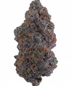 Lemon Cherry Gelato, kimyasal limon aroması ve yüksek THC içeriğiyle öne çıkan Indica baskın bir türdür. Benzersiz lezzet profilini keşfedin ve etkilerini görüntüleyin.