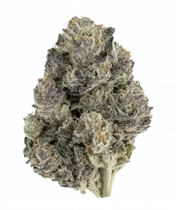 Lemon Cherry Pie R1, kremsi meyve ve limon aromalarıyla öne çıkan Indica baskın bir türdür. Yüksek THC içeriğiyle rahatlatıcı etkilerini keşfedin ve genetik yapısını inceleyin.