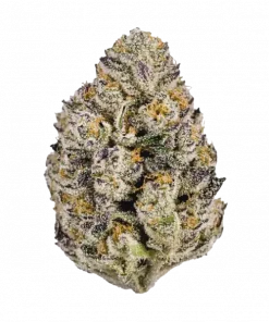 Lemon Cherry Runtz, belirgin limon aroması ve dengeli yapısıyla öne çıkan hibrit bir türdür. Canlandırıcı etkilerini ve eşsiz lezzetini keşfedin.