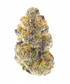 Lemon Cherry Sherb, vişne ve limon aromalarıyla öne çıkan Indica dominant bir türdür. Yaratıcılığı artıran ve rahatlatan etkilerini keşfedin. Hemen görüntüleyin.