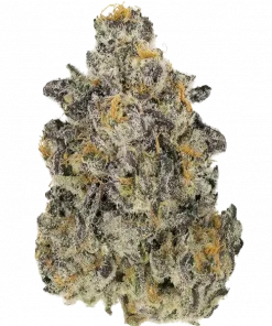 Lemon Cherry Zeelosa, tatlı meyve aromaları ve rahatlatıcı etkisiyle öne çıkan Indica baskın bir türdür. Stres ve iştah sorunları için ideal. Özelliklerini keşfedin.