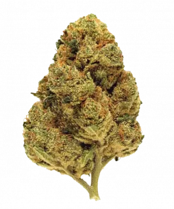 Lemon Cookies, kimyasal limon aroması ve yüksek THC içeriğiyle bilinen dengeli bir hibrit türdür. Rahatlatıcı etkilerini ve genetik yapısını keşfedin.