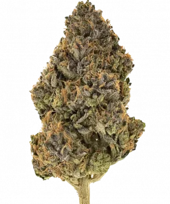 Lemon Diesel, keskin limon ve yakıtımsı aromasıyla öne çıkan indica baskın bir türdür. Odaklanma ve rahatlama için ideal. Genetik yapısını keşfedin.