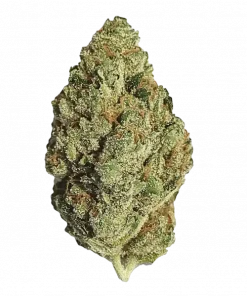 Lemon Drop, keskin limon aroması ve canlandırıcı etkileriyle bilinen Sativa baskın bir türdür. Yaratıcılığınızı artırın ve keyifli deneyimi keşfedin.