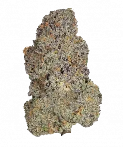 Lemon Fumes, yoğun limon ve yakıtımsı aromalarıyla öne çıkan Sativa baskın bir türdür. Yüksek THC içeriğiyle enerji ve rahatlama sağlar. Özelliklerini keşfedin.