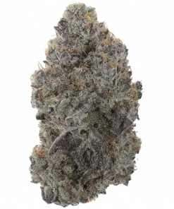 Lemon Grab, yakıtımsı ve tatlı aromalarıyla öne çıkan Sativa baskın bir türdür. Stres ve anksiyeteye karşı etkilidir. Genetik yapısını keşfedin ve detayları görüntüleyin.