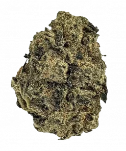 Lemon Kush, belirgin kimyasal limon aroması ve dengeli genetiğiyle öne çıkan bir hibrit türdür. Bu eşsiz türün tüm özelliklerini keşfedin ve hemen inceleyin.