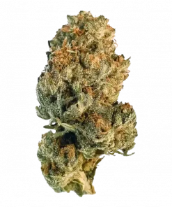 Lemon Lime Punch, tatlı meyve aromaları ve dengeli yapısıyla öne çıkan bir hibrit türdür. Depresyon ve stres için ideal. Etkilerini keşfedin.