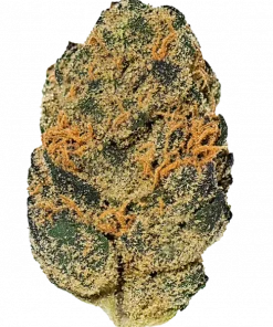 Lemon Meringue, kimyasal limon aroması ve fındık notalarıyla öne çıkan Sativa baskın bir türdür. Yaratıcılığı artıran bu özel türü keşfedin.