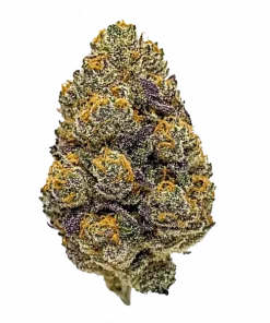 Lemon OG, keskin limon aroması ve THC oranıyla öne çıkan dengeli bir Indica/Sativa türüdür. Hızlı rahatlama için genetik özelliklerini keşfedin.