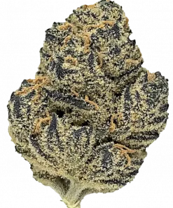 Lemon Pepper x Zuchi, kimyasal limon aroması ve böğürtlen notalarıyla öne çıkan Sativa türüdür. Canlandırıcı etkileriyle bilinen bu türü keşfedin.