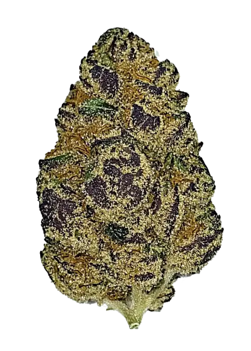 Lemon Pie, kimyasal limon aroması ve yüksek THC içeriğiyle bilinen Sativa baskın bir türdür. Canlandırıcı etkileri ve genetik yapısını keşfedin.