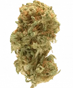 Lemon Runtz, kimyasal limon aroması ve yüksek THC içeriğiyle öne çıkan dengeli bir hibrit türdür. Bu eşsiz türün genetik yapısını ve potansiyel faydalarını keşfedin.