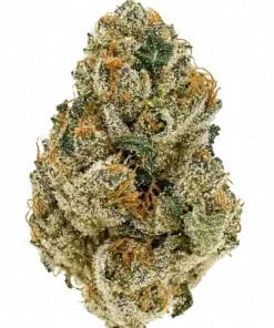 Lemon Thai, kimyasal limon aroması notaları ve yüksek THC içeriğiyle bilinen Sativa baskın bir türdür. Eşsiz genetik yapısını ve etkilerini keşfedin.