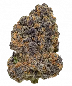 Trill, kimyasal limon aroması ve böğürtlen notalarıyla öne çıkan sativa baskın bir türdür. Yaratıcılığı artıran ve rahatlatan bu özel türü keşfedin.