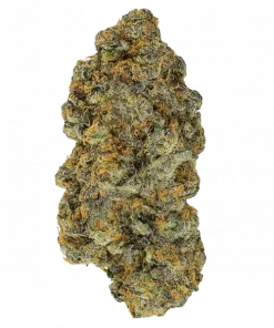 Lemon Ume, kimyasal limon aroması ve tropikal guava notalarıyla öne çıkan dengeli bir hibrit türdür. Enerji veren etkilerini keşfedin ve hemen inceleyin.