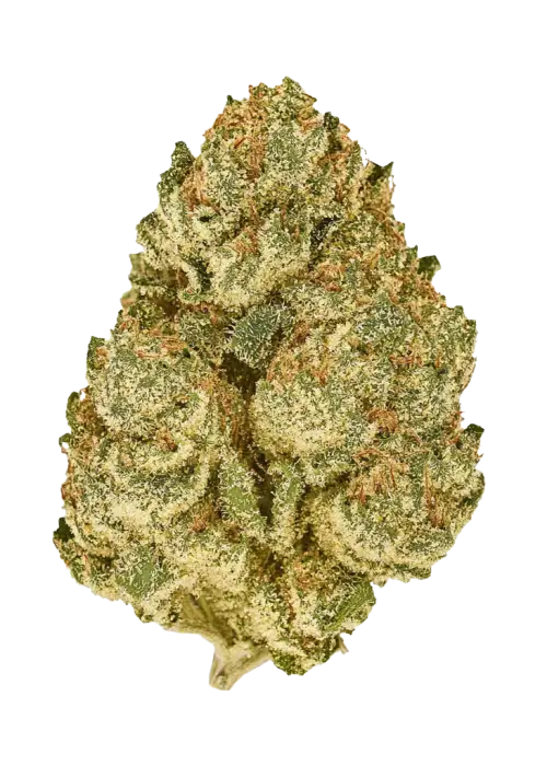 Lemon Up, kimyasal limon aroması ve ferahlatıcı nane notalarıyla öne çıkan Indica baskın bir türdür. Derin rahatlama ve uyku için ideal. Özelliklerini keşfedin.