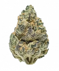 Lemon Venom, yakıtımsı aroması ve yüksek THC içeriğiyle bilinen Indica dominant bir türdür. Güçlü etkilerini ve genetik yapısını keşfedin.