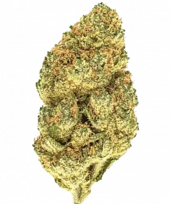Lemon Zephyr, kimyasal limon aroması ve yakıtımsı notalarıyla öne çıkan Sativa baskın bir türdür. Enerji veren etkilerini ve genetik yapısını keşfedin.