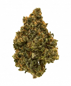 Lemonade Grenade, kimyasal limon aroması ve yüksek THC içeriğiyle öne çıkan Sativa baskın bir türdür. Eşsiz lezzet profilini ve etkilerini hemen keşfedin.